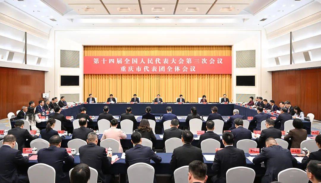 重庆代表团举行全体会议​ 袁家军胡衡华王炯张轩出席