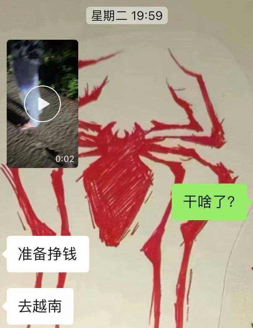 山西17岁高中生在柬埔寨失联月余，曾发消息称“回不来了记得照顾好我爸妈”，警方已立案