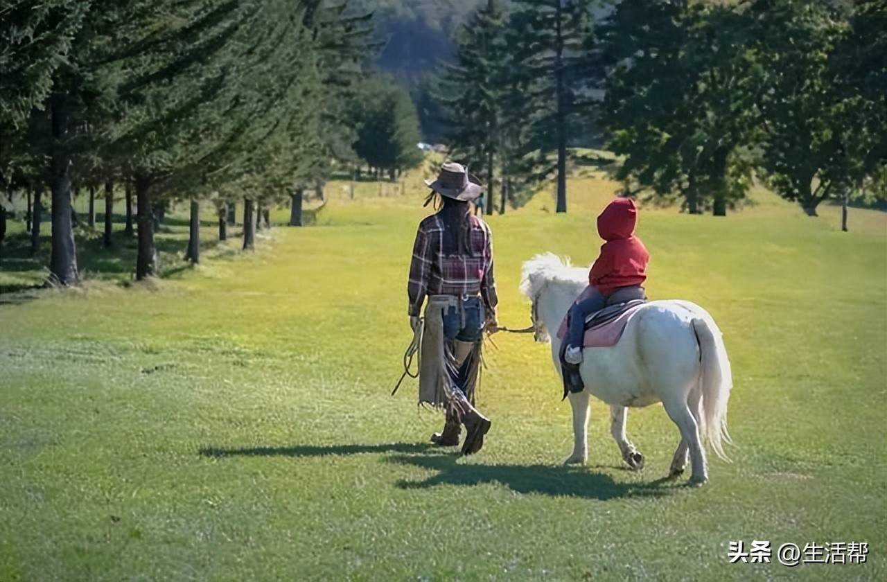 大学生暑期上门带娃成热门兼职，家长外包育儿喘口气