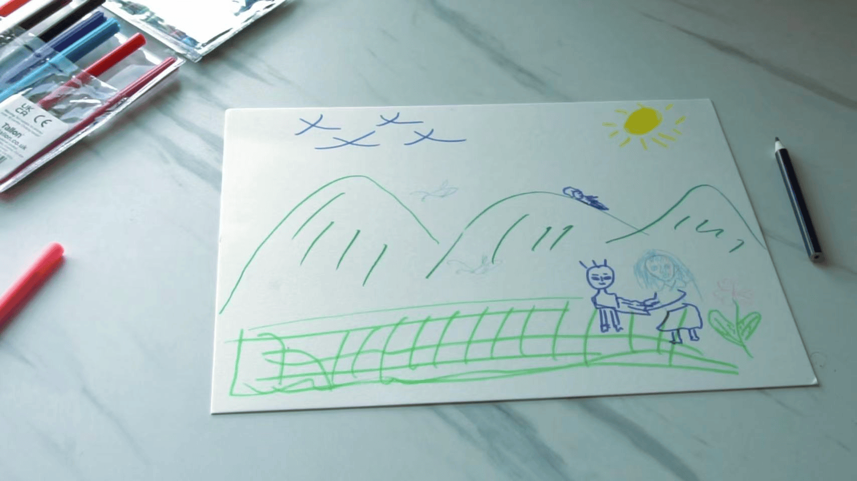 女子给母亲做心理咨询时 录到父亲家暴视频