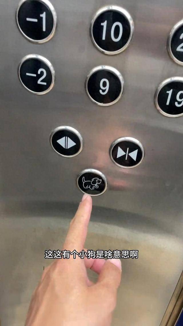 沈阳一小区电梯设“小狗按钮”,可通过按钮亮熄判断电梯里是否有狗,新款还有摄像头识别功能