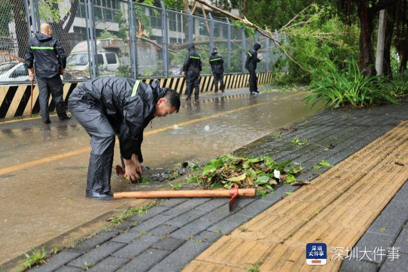 从“山竹”开始，深圳这家企业每遇台风都组织员工排险清障