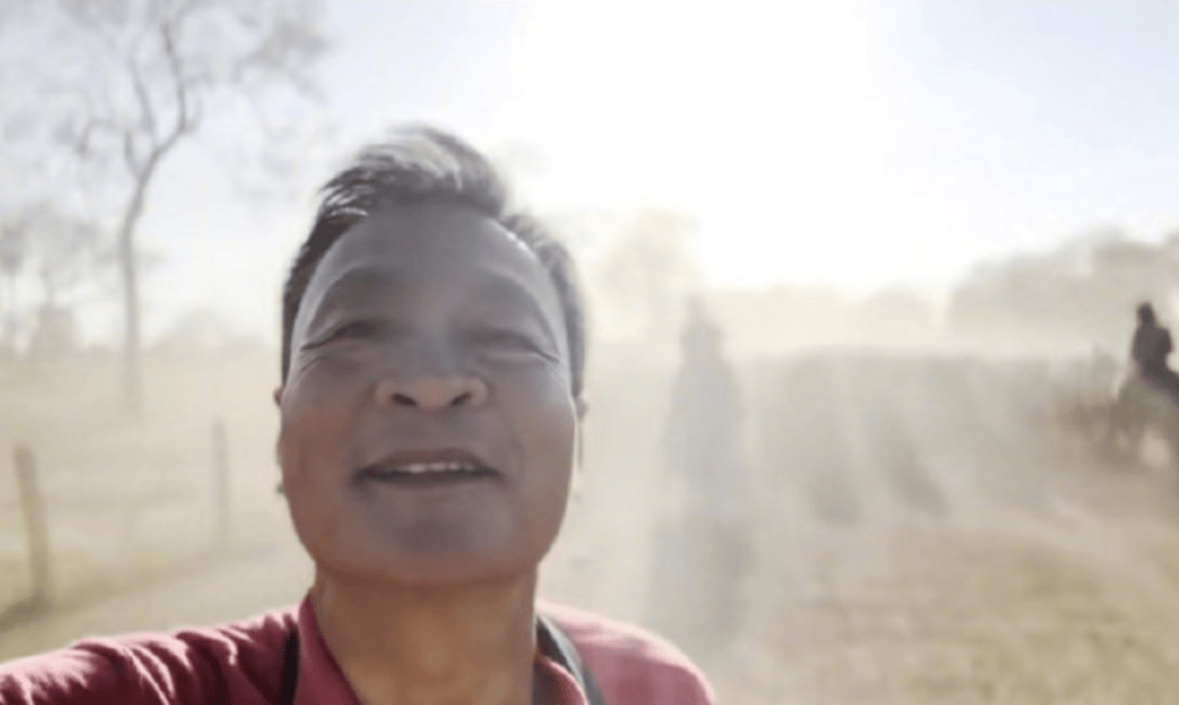 北大教授俞孔坚在巴西坠机身亡，当天曾发视频称“探秘刚刚开始”；事发时飞机突然失去高度坠落并爆炸，机龄已67年；巴西总统发文悼念