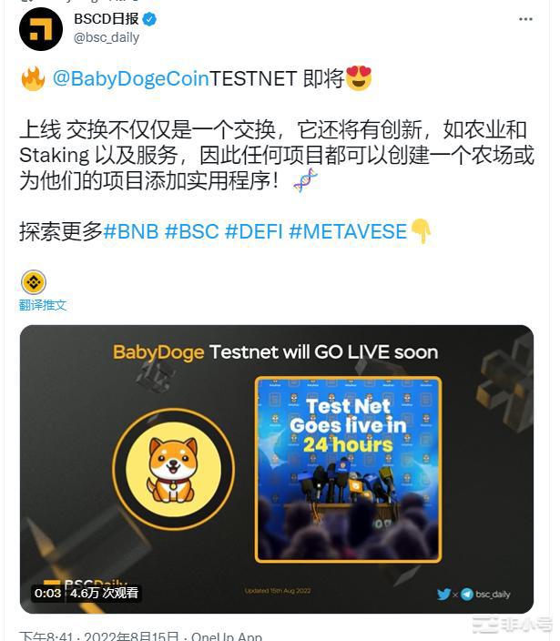shib币和nft币(nft和nft币有什么区别)