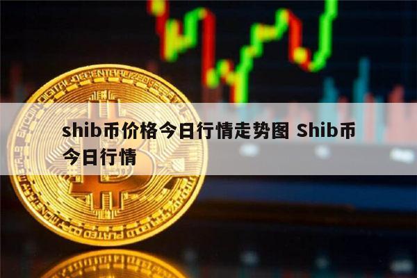 shib币两年能多少钱(shib币几年可以炒起来)