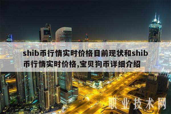 shib币的技术(shib币有什么技术)