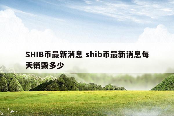 shib币捐赠(shib币 购买)