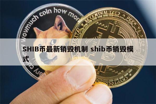 shib币一枚多少钱(shib币刚出来多少钱)
