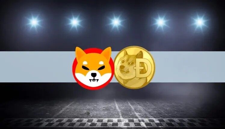 shib柴犬币价格市值(shib柴犬币发行价多少)
