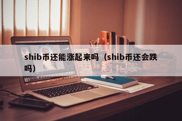 shib币上线其它平台(shib币上线那个交易所)