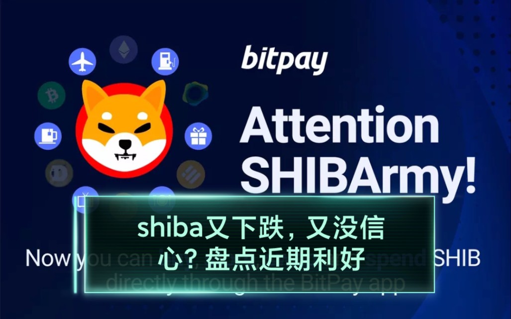 shib币跌了(shib币会涨到01美元吗)