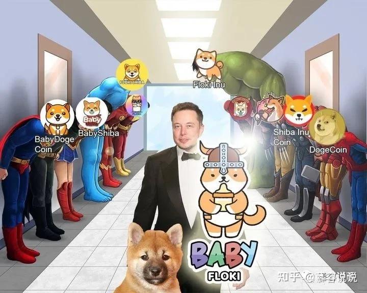 shib柴犬币创始人(shiba inu柴犬币)