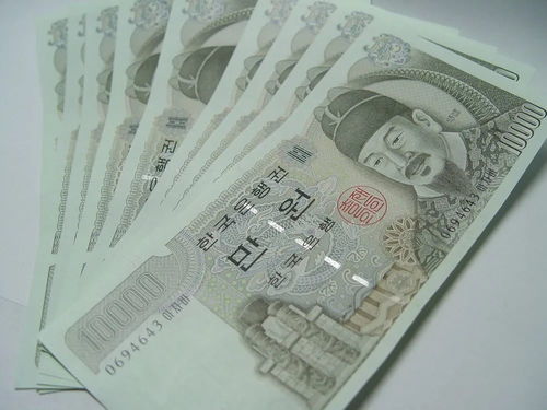 shib币折合人民币(shib币交易今日价格)