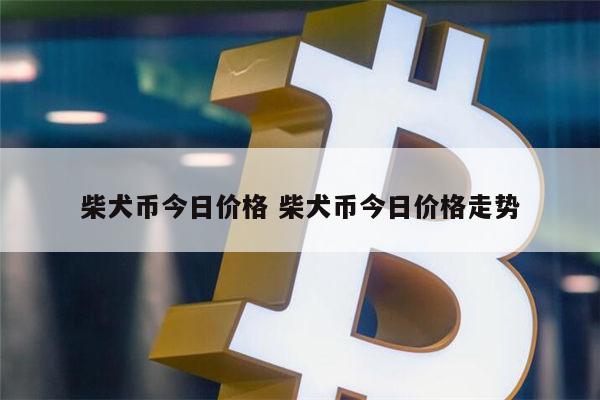 关于v神评价shib币的信息
