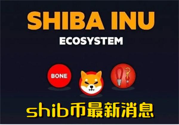 包含shib币暴涨多少可以兑现的词条