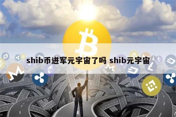 shib币崩了(shib币暴跌还会涨吗)