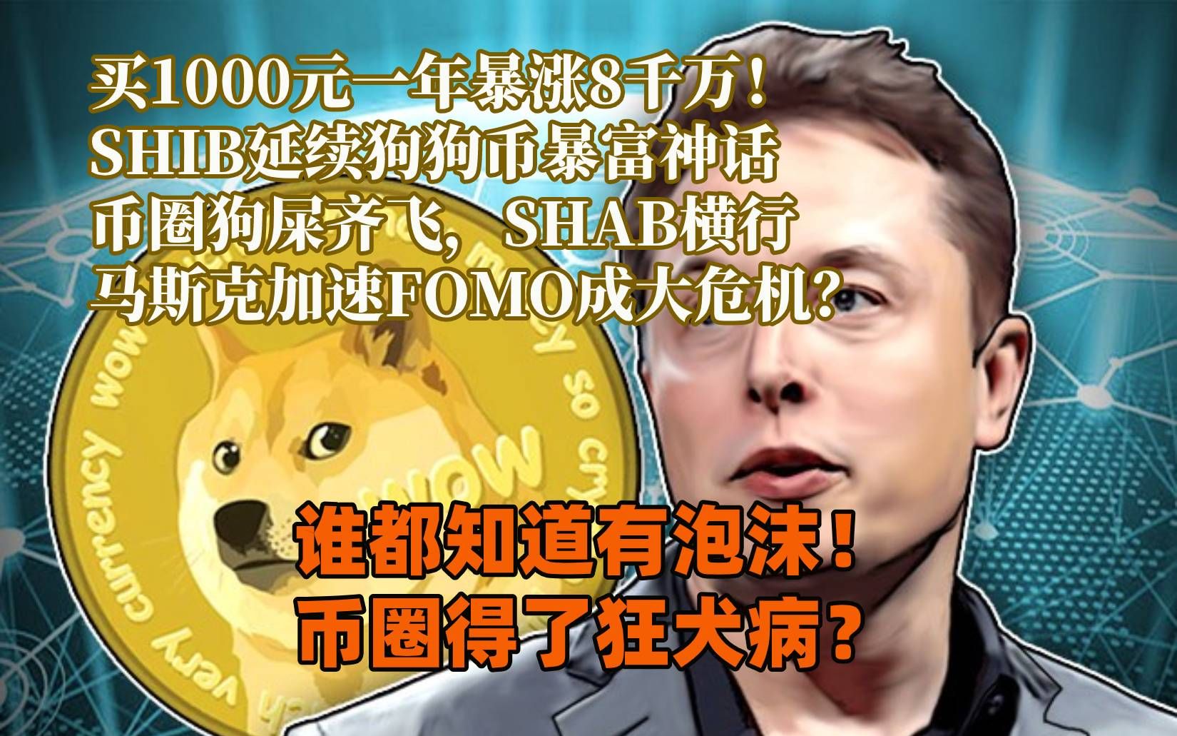 关于shib币最新信息马斯克的信息