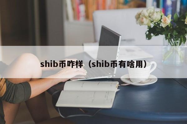 shib币什么用途(shib币有什么用途)