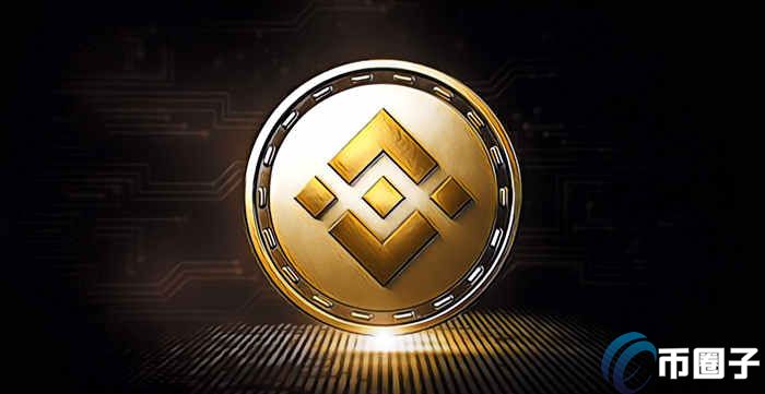 shib币什么时间上币安(babydoge币最新消息)