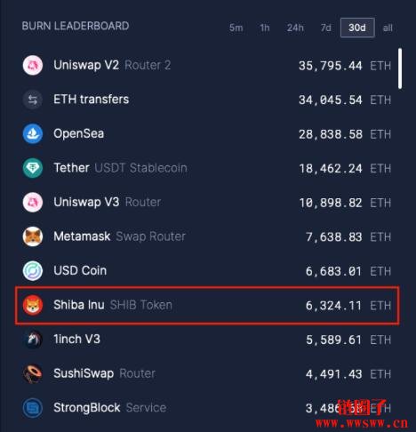 关于柴犬币shib的推特账号的信息
