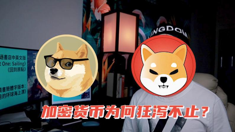包含柴犬币shib的推特账号的词条
