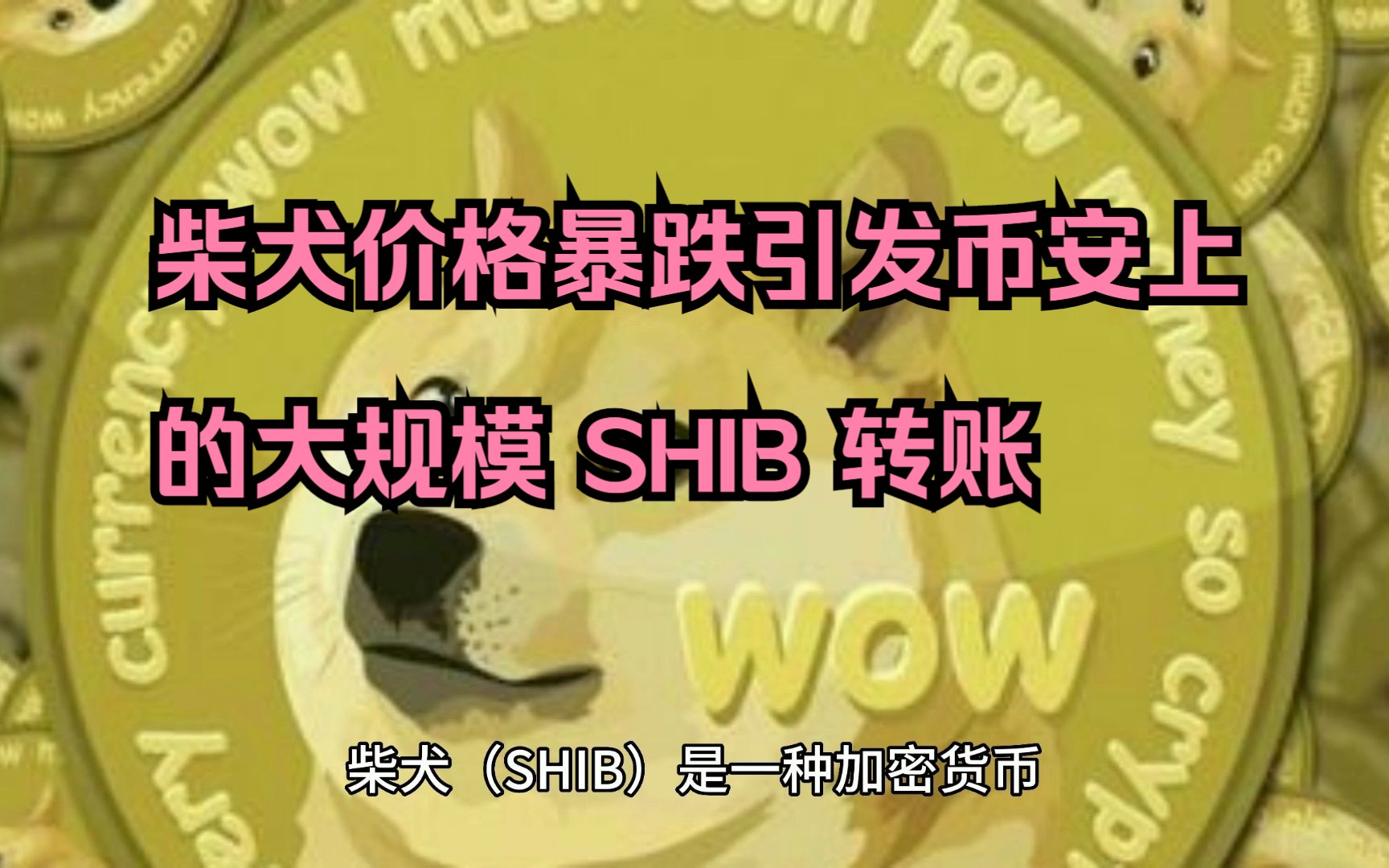 包含shib什么时候上线币安的词条