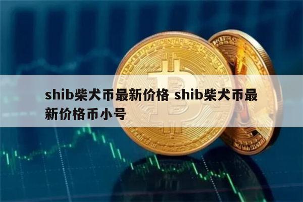 shib币未来目标价(shib币未来发展趋势)