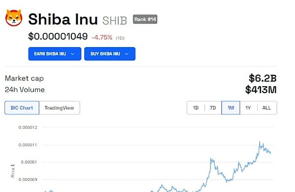 shib币未来目标价(shib币未来发展趋势)