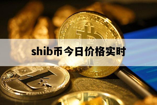 shib币的今日价格(shib币今日最新价格)