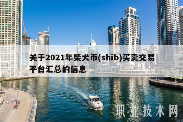 shib柴犬币价格市值(shIB柴犬币今日最新消息)