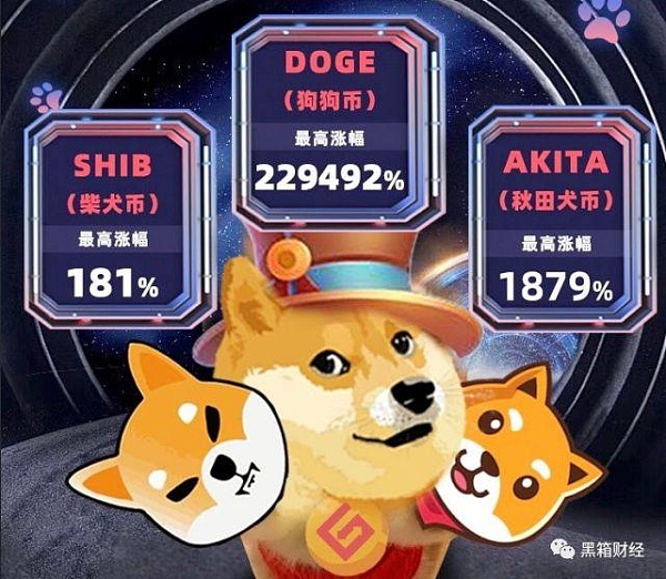 shib和狗狗币市值(shib和狗狗币的区别)