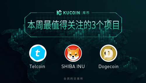 shib币崩了(shib币会消失吗)