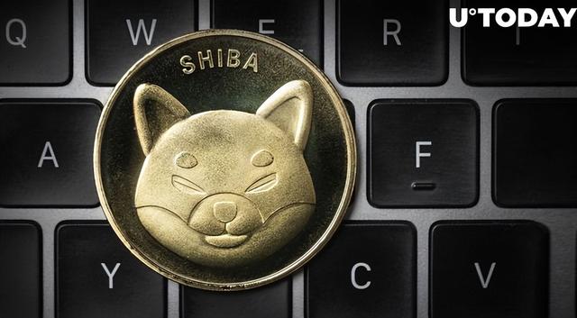 关于pig币shib币大跌的信息