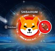 关于shib币未来五年价格的信息
