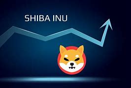 shib币靠谱吗(shib币是干嘛的)