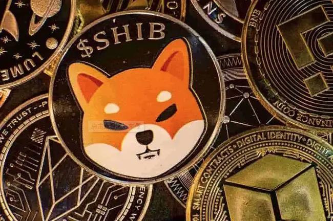 shib币团队目标1美金(shib币最新消息每天销毁多少)