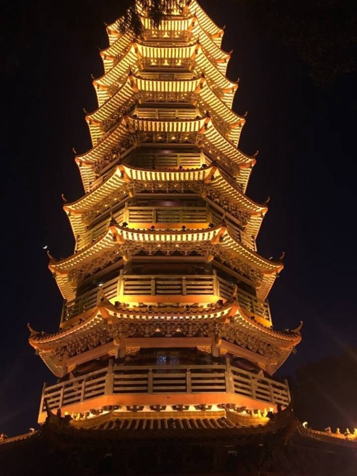 龙阁(万古神帝护龙阁)
