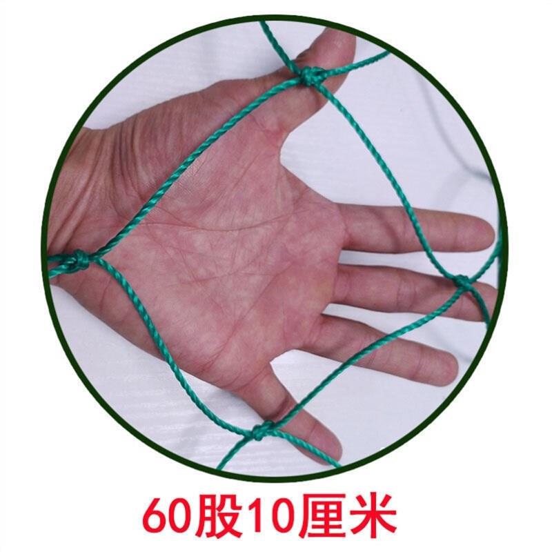 P网(p图大神)