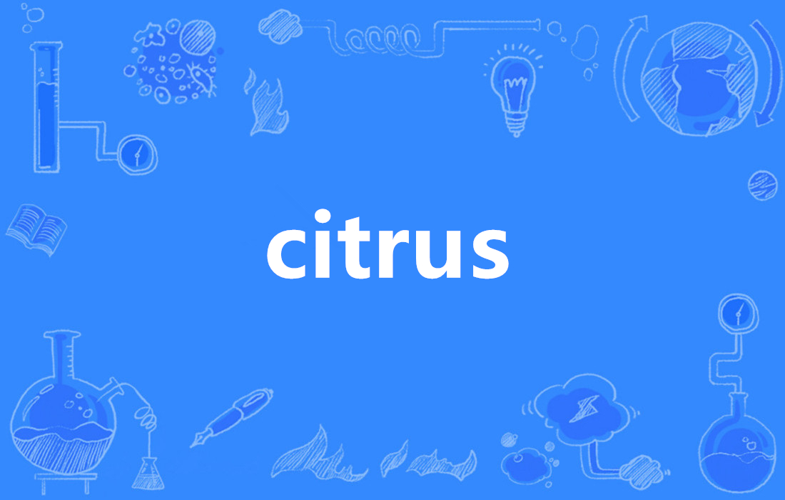 CITEX(cite形容词)