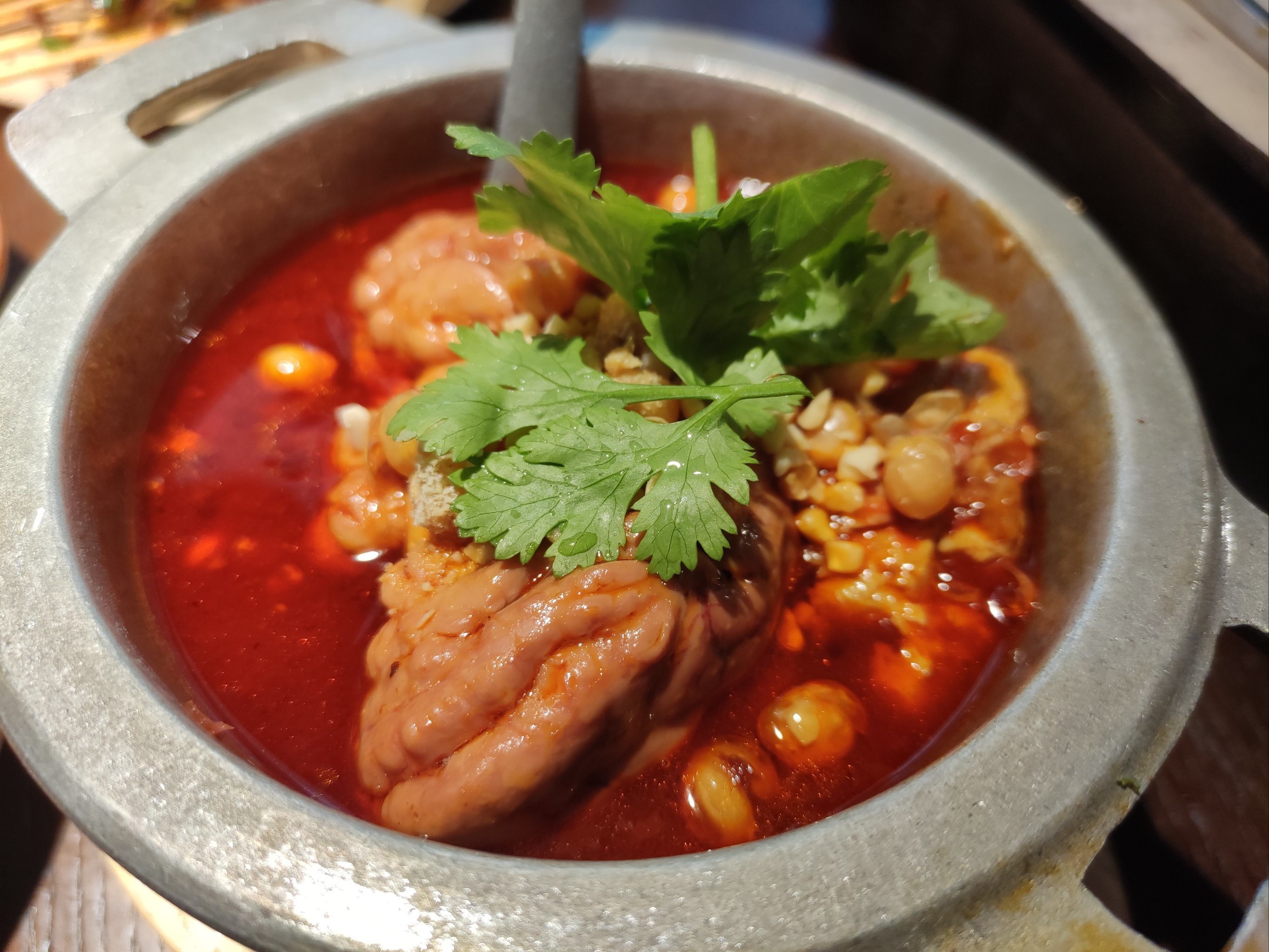 BKOEX(别克偶尔显示请检修车辆) BKOEX(别克偶尔显示请检修车辆)