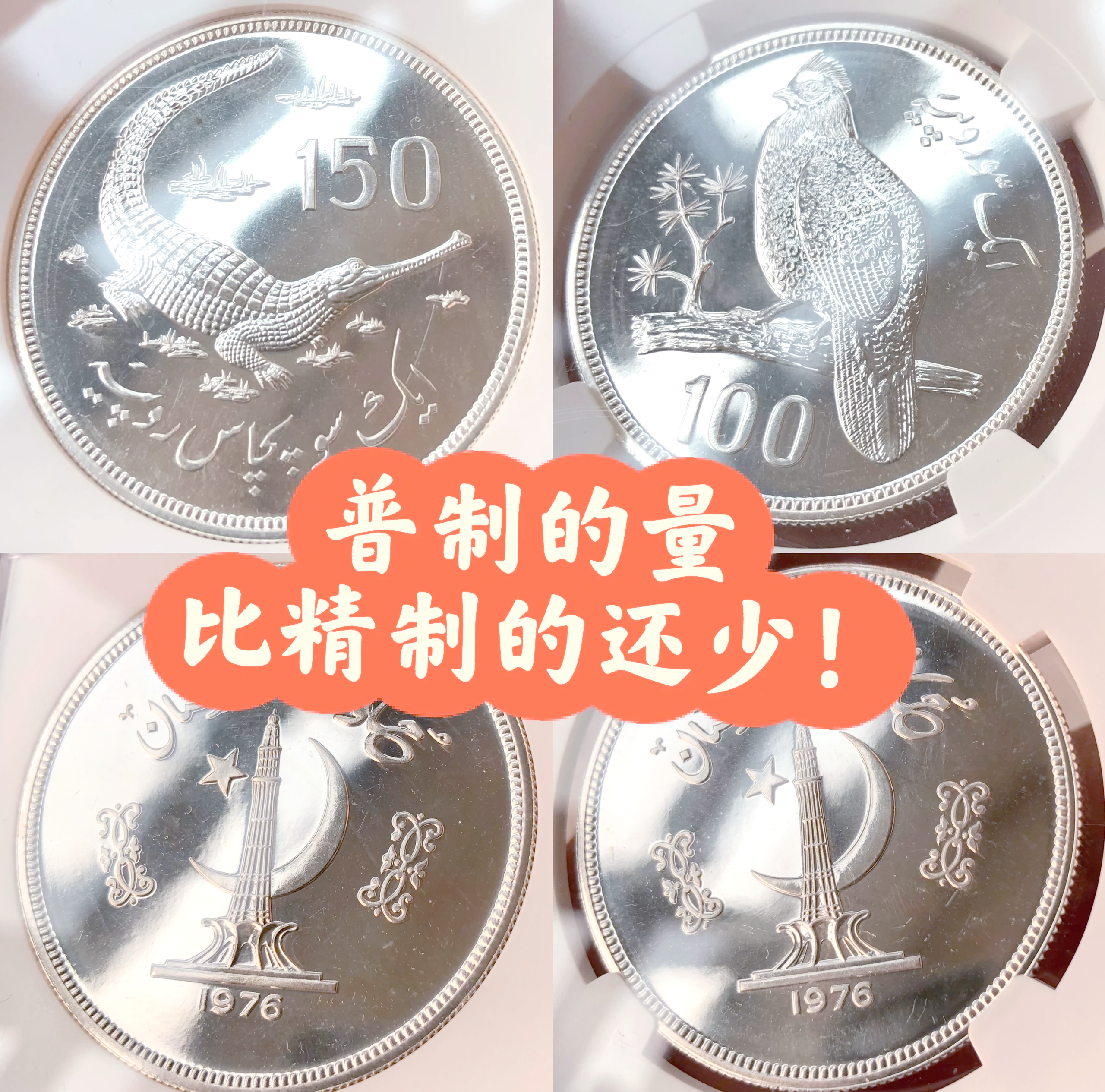 币界(币界网今日行情)