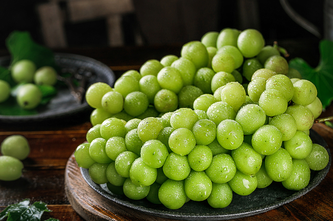 TAB葡萄(tab谱子怎么看) TAB葡萄(tab谱子怎么看)