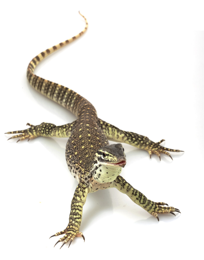 阿格斯(阿格斯科技江苏有限公司)