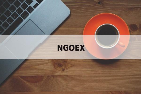 关于NGOEX的信息